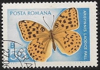 Mariposa 