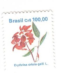 Erythrina crista-galli