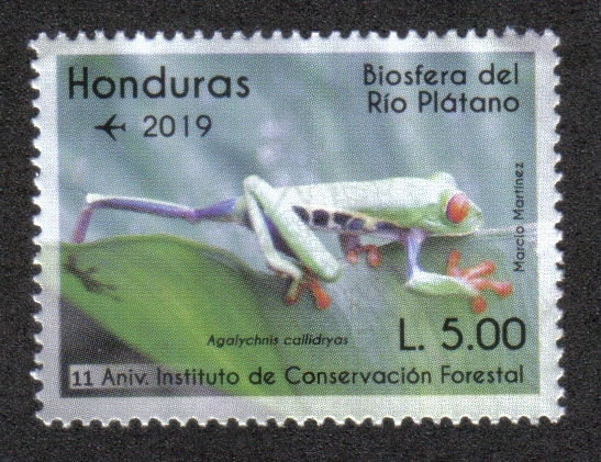 Biosfera del Río Plátano