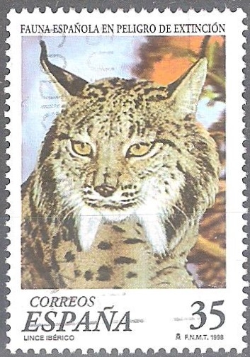 Especie en peligro. Lince