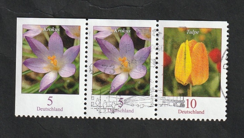 2305 a (2) y 2309 a - Flores