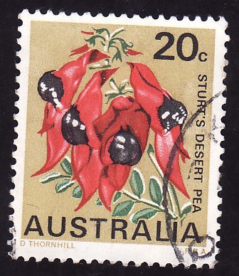 Sturt's Desert Pea-Flor emblemática del sur de Australia