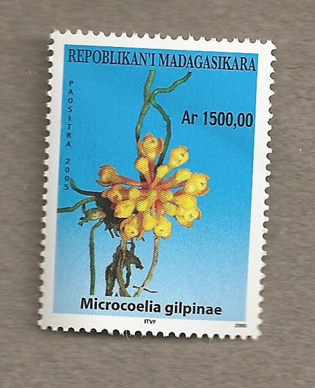 Orquideas de Madagascar