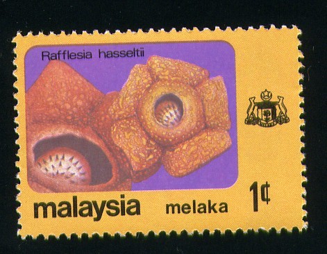 Melaka