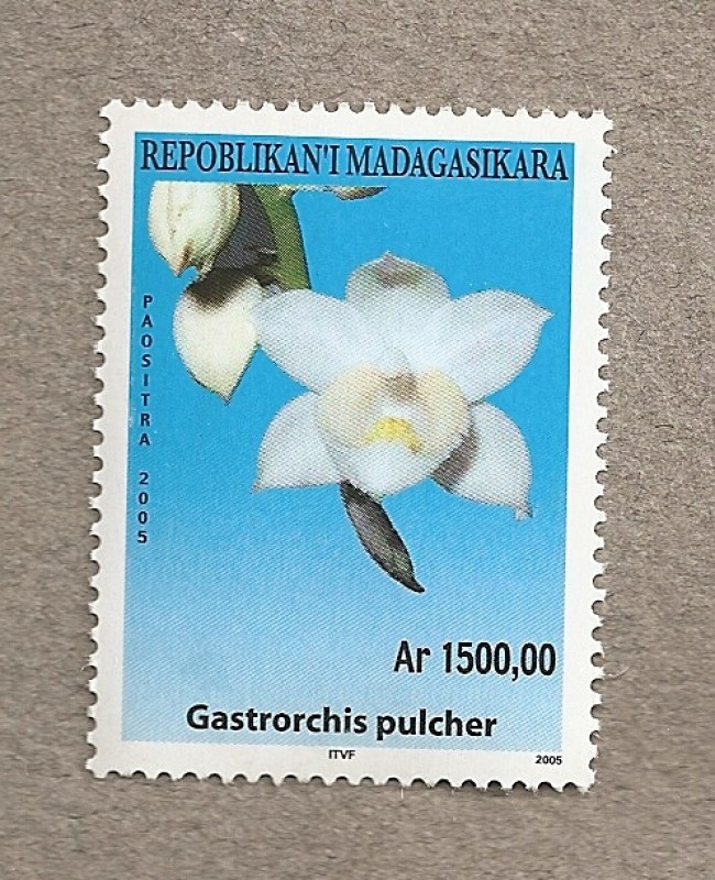 Orquideas de Madagascar