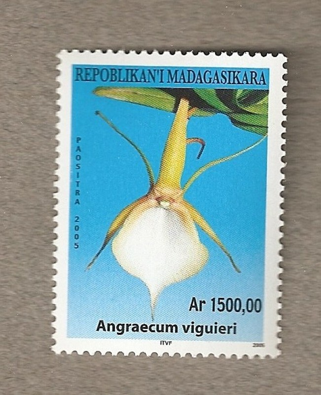 Orquideas de Madagascar