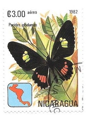 mariposas