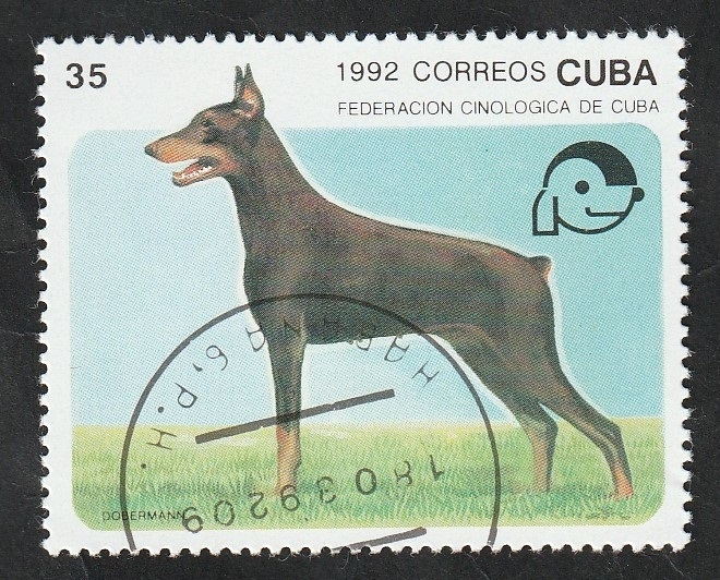 3194 - Doberman, perro de raza