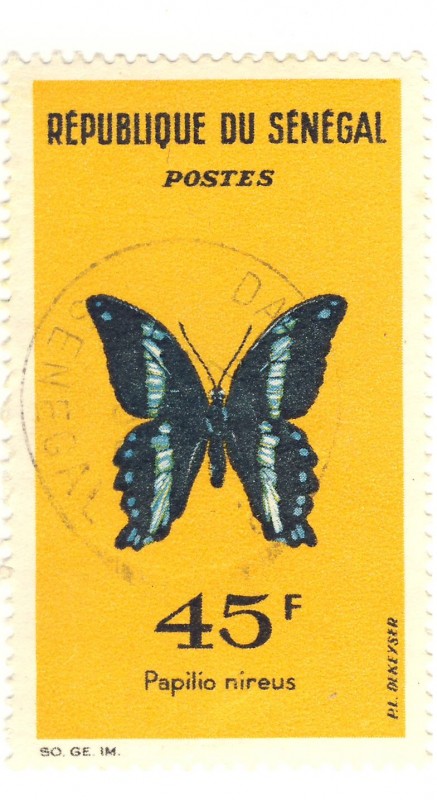 Mariposa