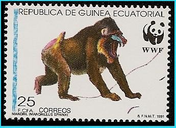 Mandril - en peligro de extinción - WWF protección de la Naturaleza