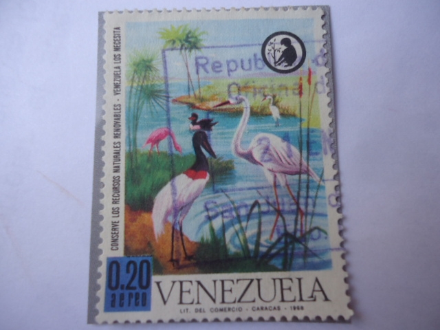 Aves - Conserve los recursoa Naturales Renovables - Venezuela los Necesita.