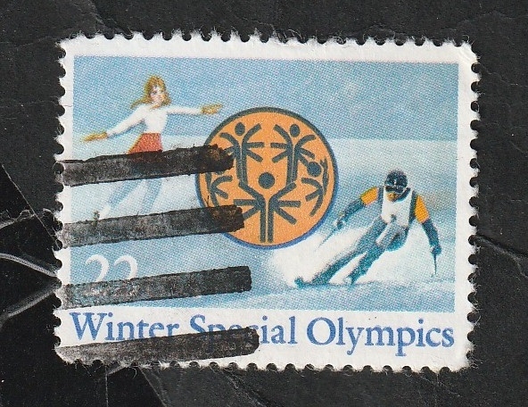 1571 - Olimpiadas de invierno para discapacitados