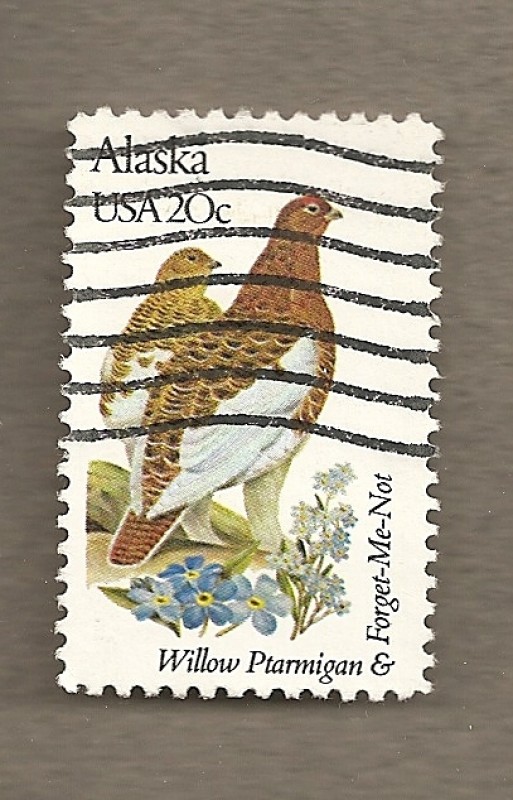 Flores y aves-Alaska