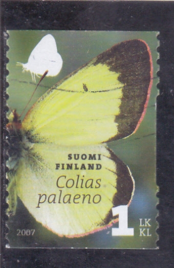 Mariposa-Colias paleano
