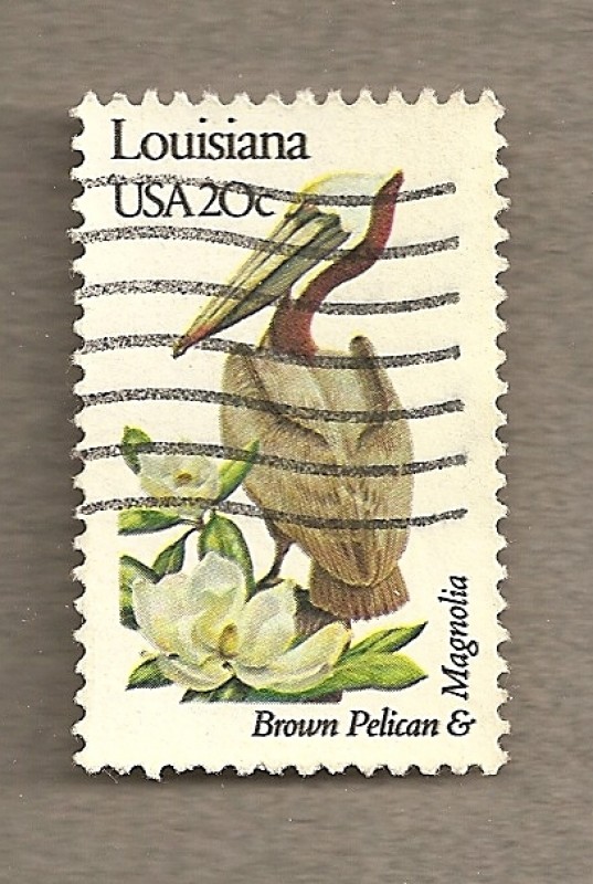 Flores y aves-Louisiana