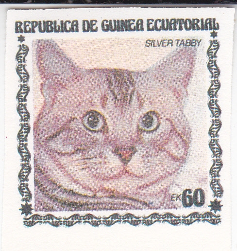 gatos de raza