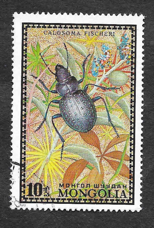 667 - Escarabajo
