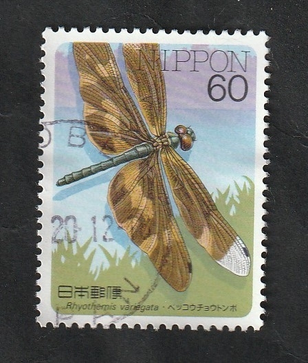 1606 - Insecto, Rhyothemis variegata