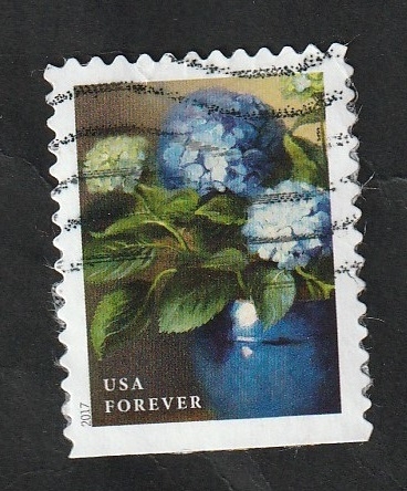 5063 - Flor de jardín, Hydrangeas azules
