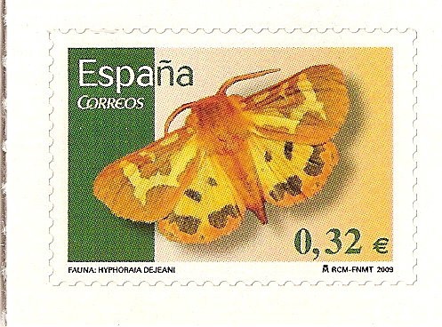 Mariposa Hyphoraia Dejeani