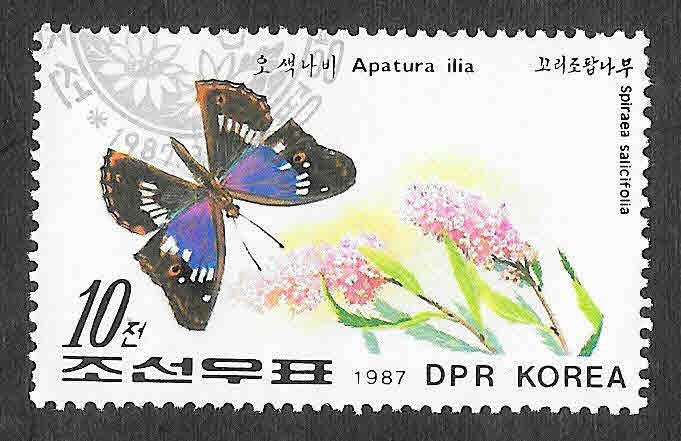 2642 - Mariposa y Planta