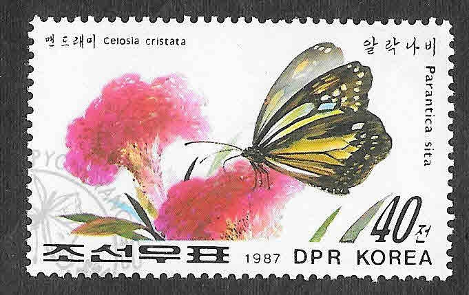 2646 - Mariposa y Planta