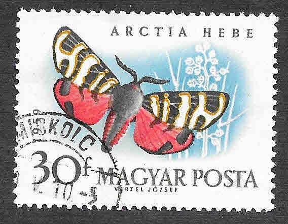 1269 - Mariposa