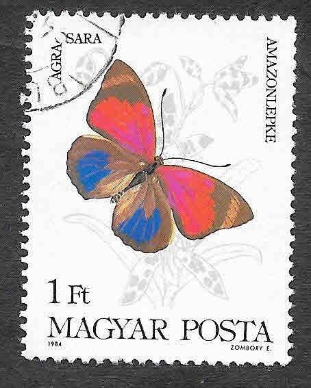 2852 - Mariposa