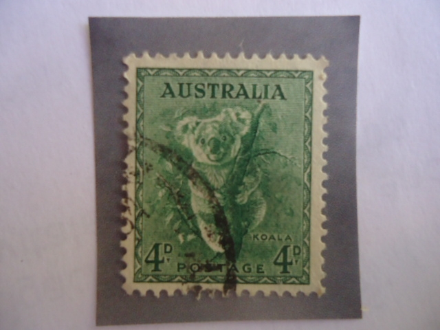 Koala (Phascolarctos) Serie: Koala,Kookaburra - Queen Elizabeth II
