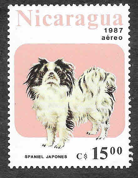 1634 - Perro
