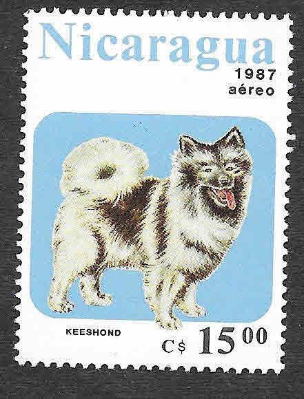 1635 - Perro