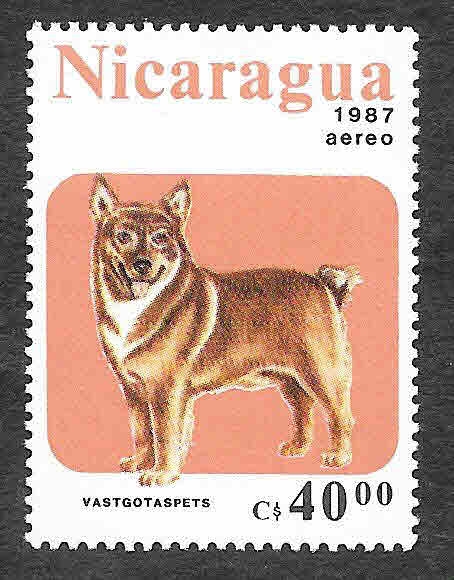 1638 - Perro