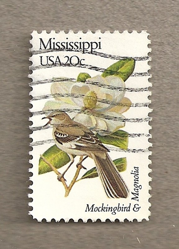 Flores y aves-Mississippi