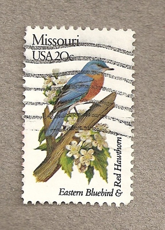 Flores y aves-Missouri