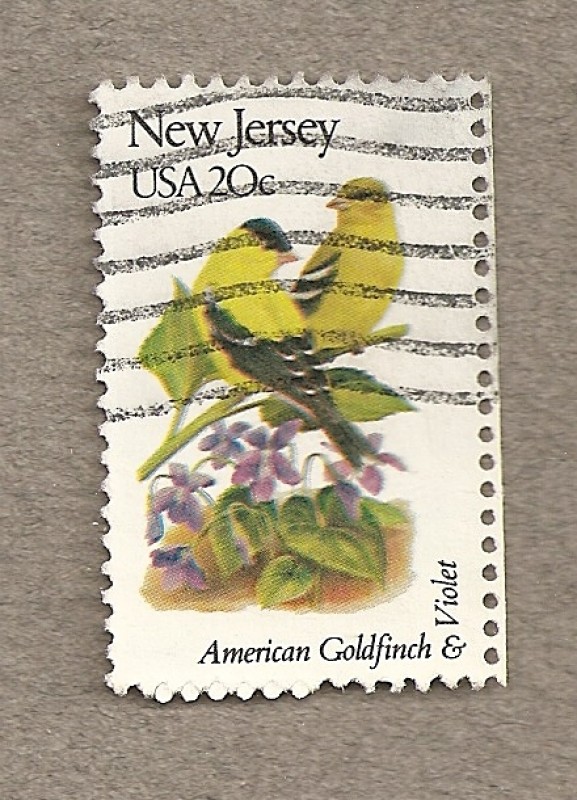 Flores y aves-New Jersey