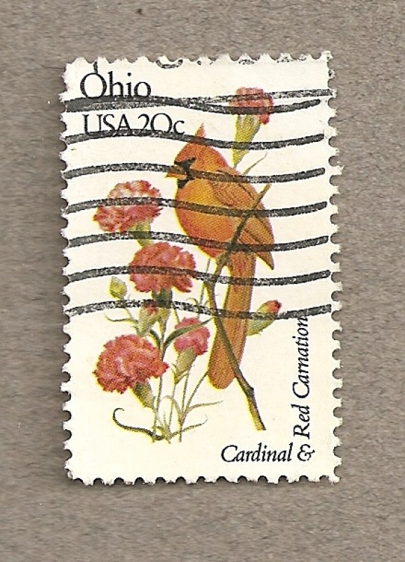 Flores y aves-Ohio
