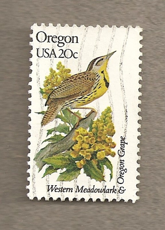 Flores y aves-Oregon