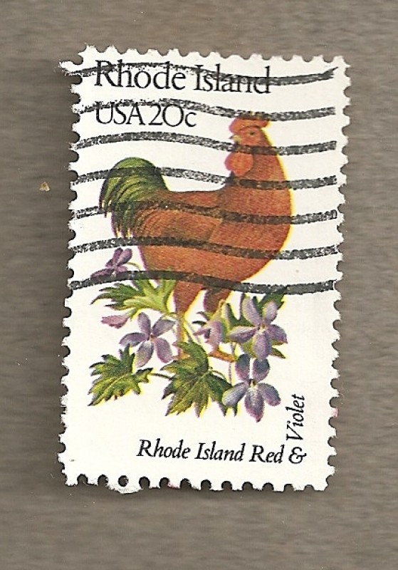 Flores y aves-Rhode Island