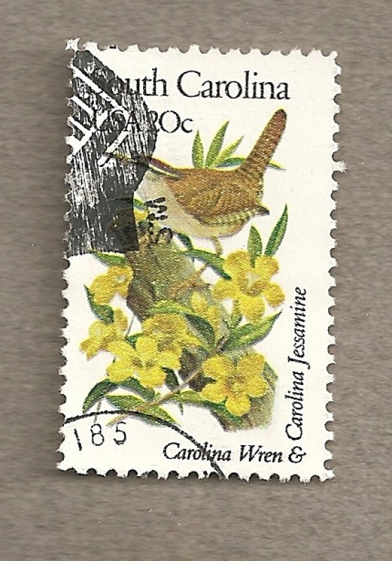 Flores y aves-South Carolina