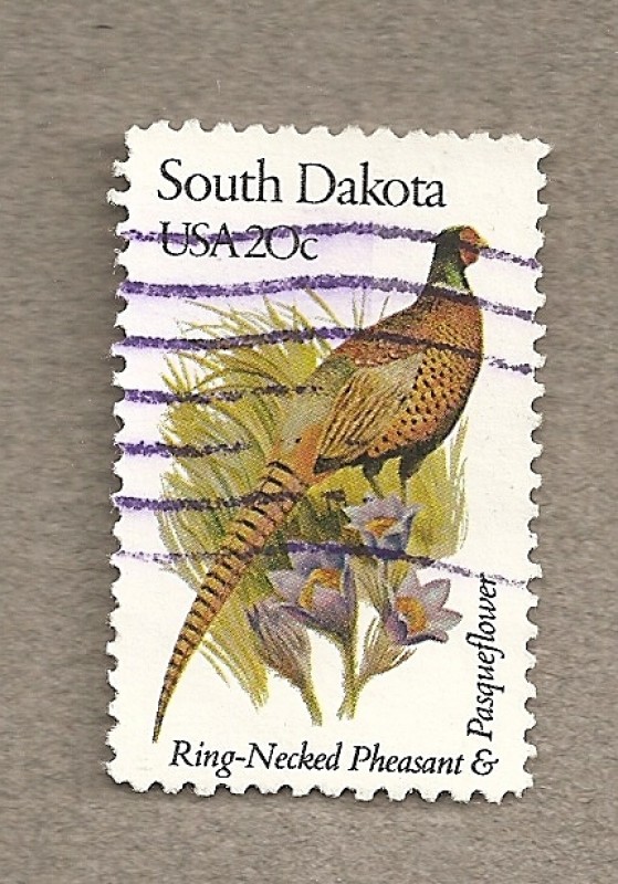 Flores y aves-South Dakota