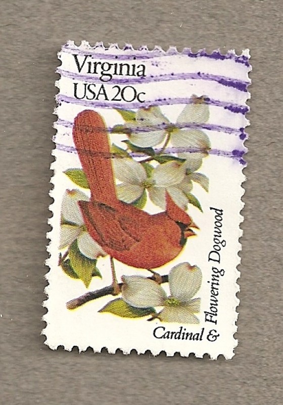 Flores y aves-Virginia