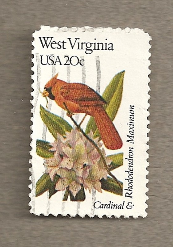 Flores y aves-West Virginia