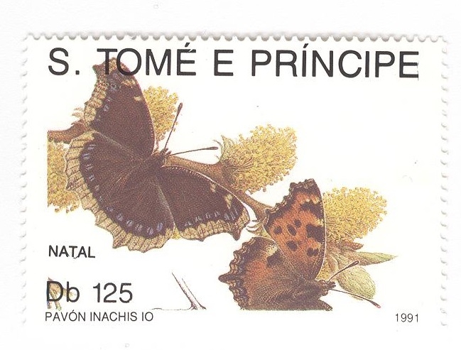 Mariposa. Pavón Inachis