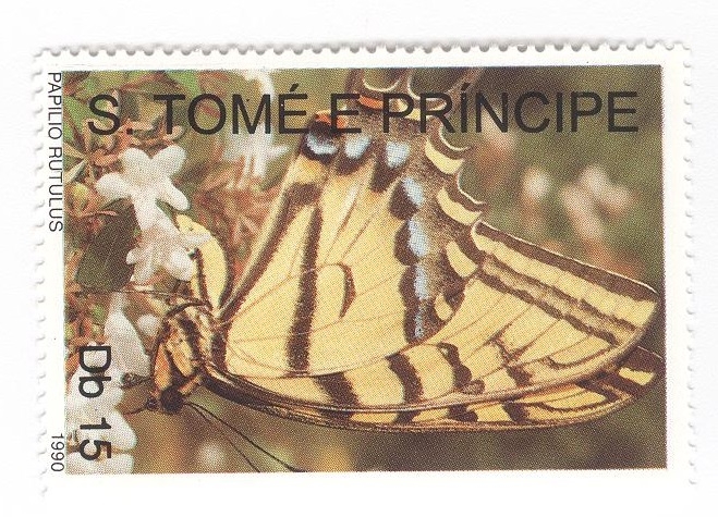Mariposa. Papilio Rutulus