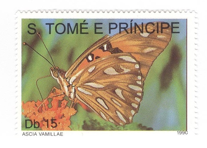 Mariposa. Ascia Vamillae