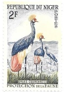 aves