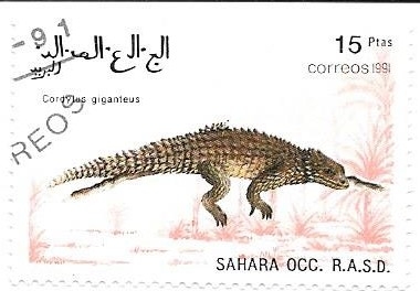 reptiles