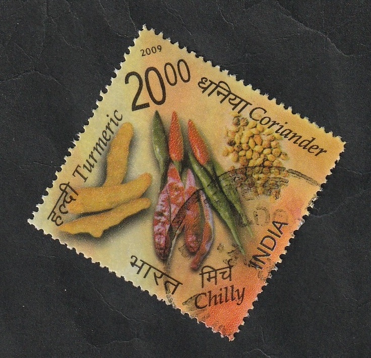 2133 - Especies de la India, Cúrcuma, cilantro y pimientos