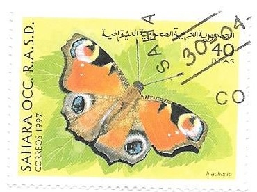 mariposas