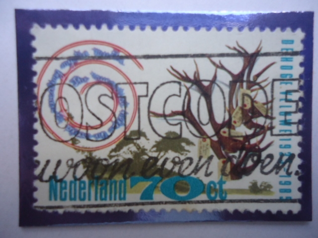 Parque Nacional:De Hoge Veluwe, 1935-1985 - (5500 Hect.)- Ostcode (cód.Postal)  